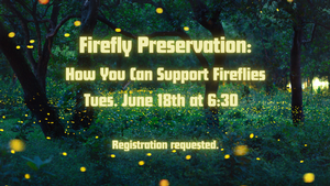 Firefly Preservation
